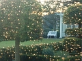 White House Extra Holiday Tour 005